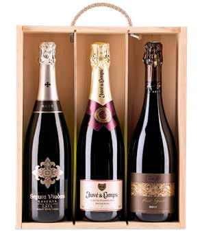 Caja de Cava 1 (Navidad 2023)